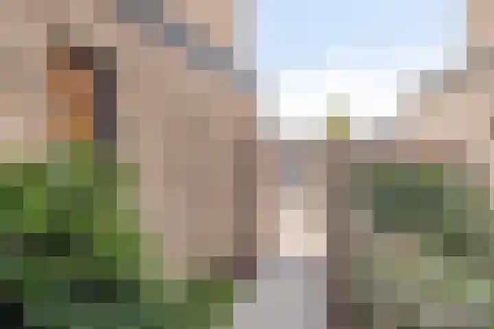 Strijkmolen 21 Zwolle thumbnail 48