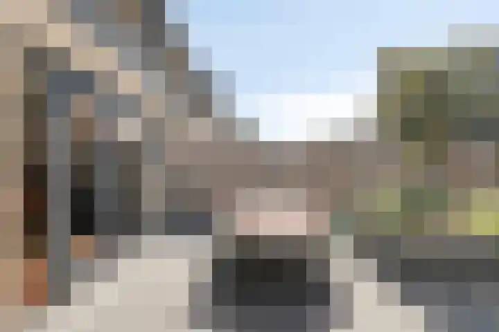 Strijkmolen 21 Zwolle thumbnail 50