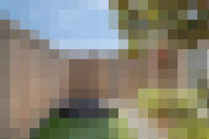 Strijkmolen 21 Zwolle thumbnail 54