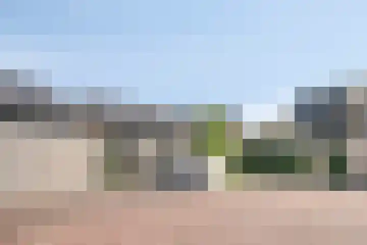 Strijkmolen 21 Zwolle thumbnail 56
