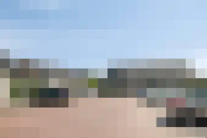 Strijkmolen 21 Zwolle thumbnail 57