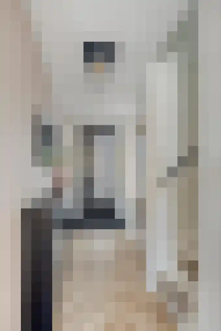 Strijkmolen 21 Zwolle thumbnail 6