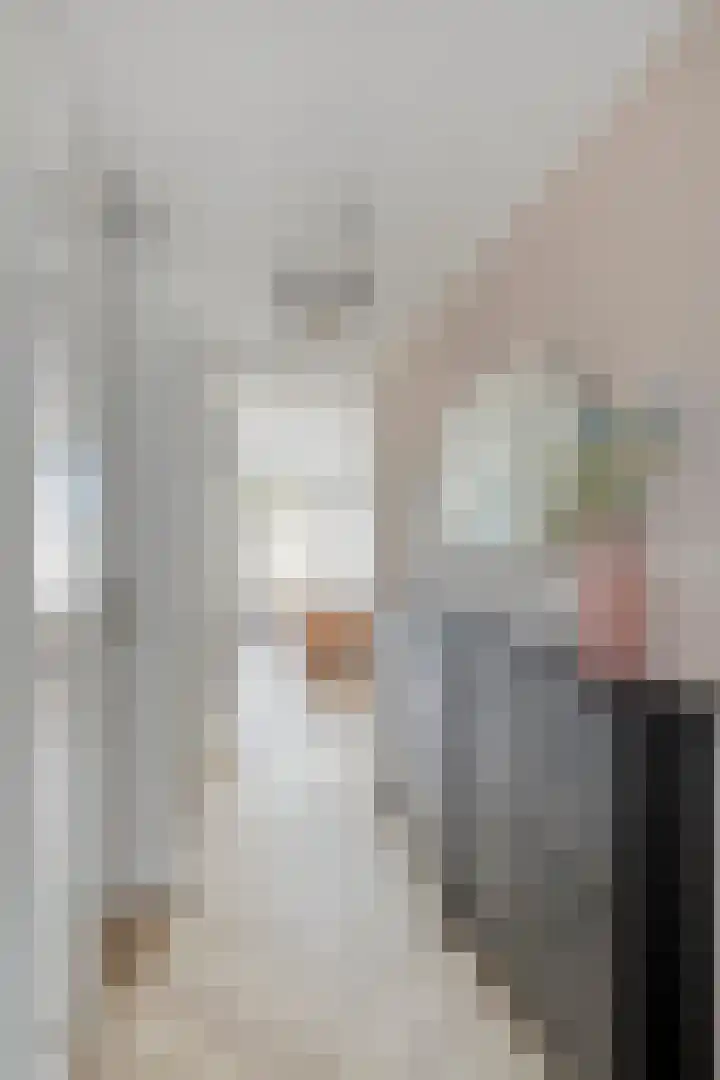 Strijkmolen 21 Zwolle thumbnail 8