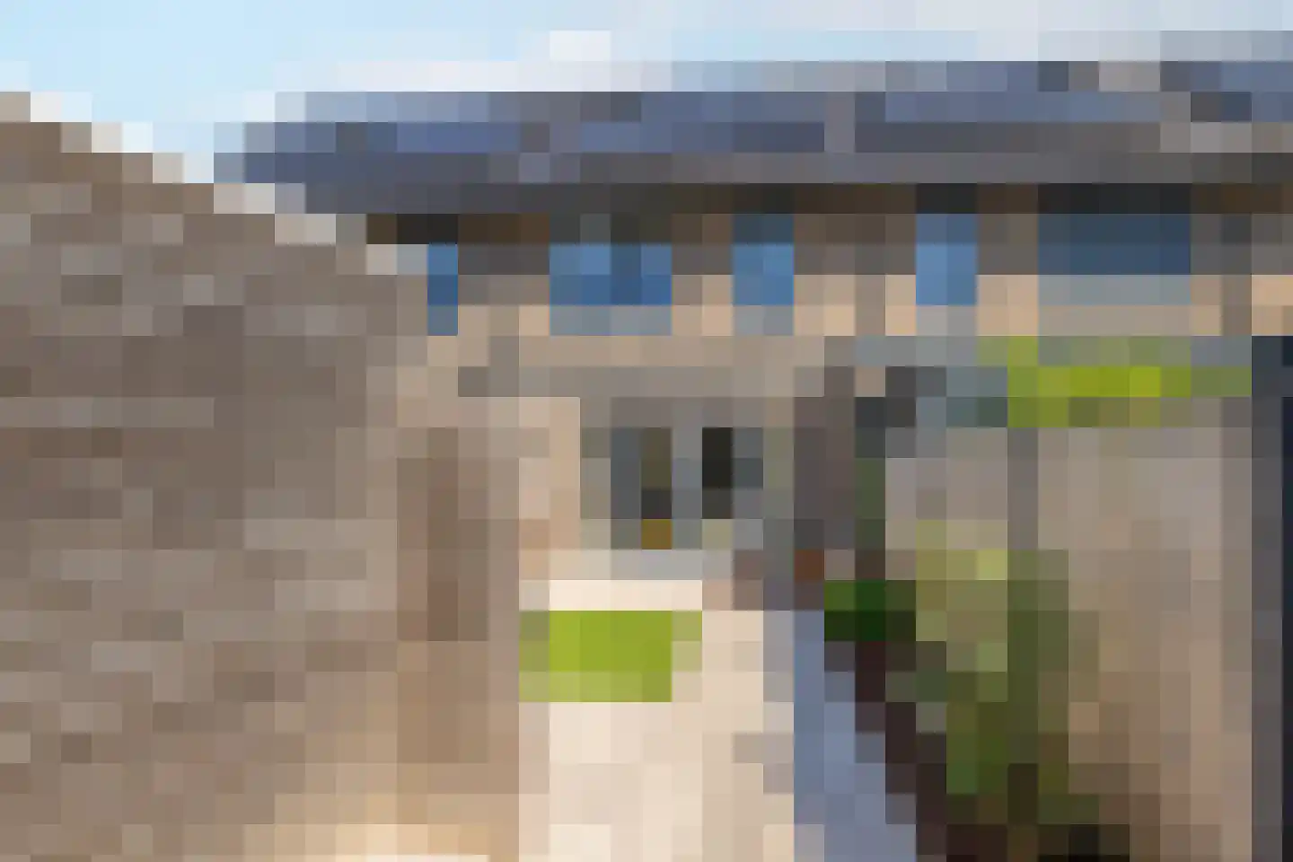 Strijkmolen 29 Zwolle thumbnail 23