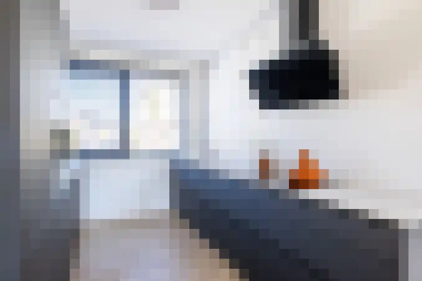 Strijkmolen 29 Zwolle thumbnail 4