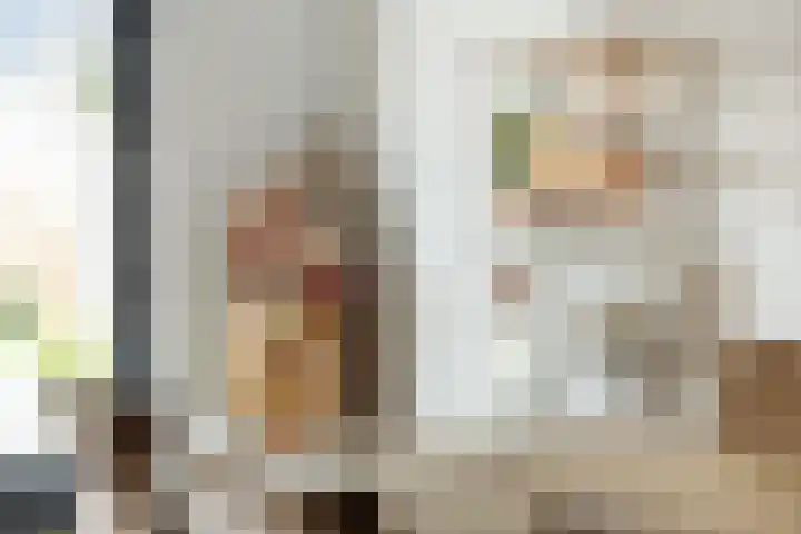Strijkmolen 5 Zwolle thumbnail 10