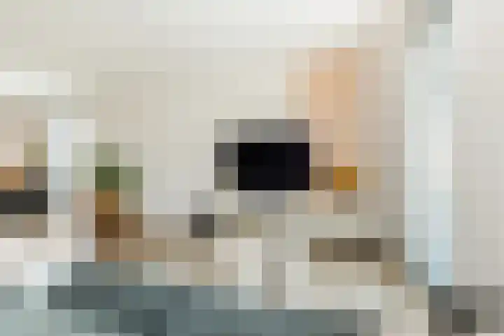 Strijkmolen 5 Zwolle thumbnail 12