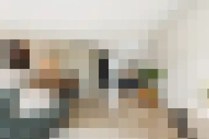 Strijkmolen 5 Zwolle thumbnail 13