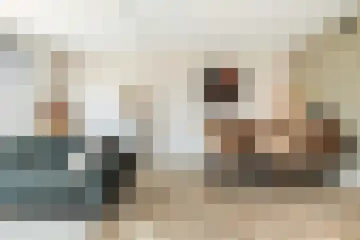 Strijkmolen 5 Zwolle thumbnail 15