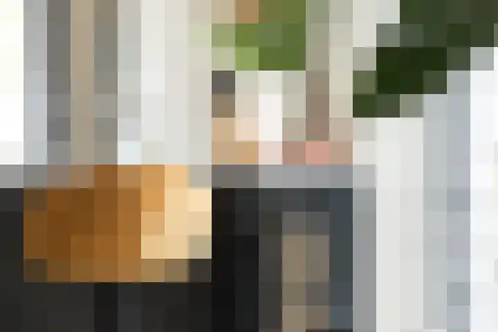 Strijkmolen 5 Zwolle thumbnail 18