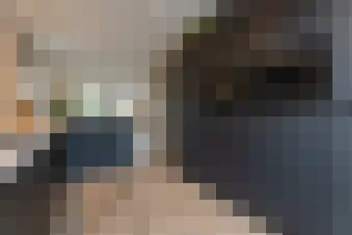 Strijkmolen 5 Zwolle thumbnail 22