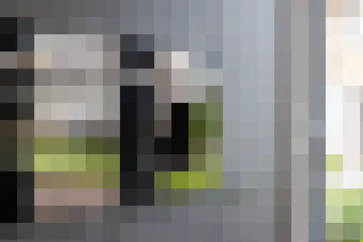 Strijkmolen 5 Zwolle thumbnail 23