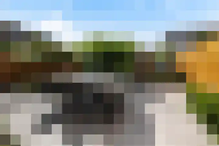 Strijkmolen 5 Zwolle thumbnail 24
