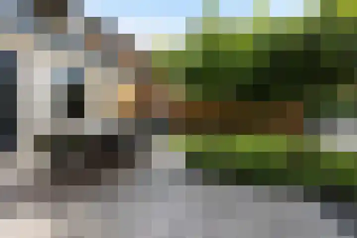 Strijkmolen 5 Zwolle thumbnail 26
