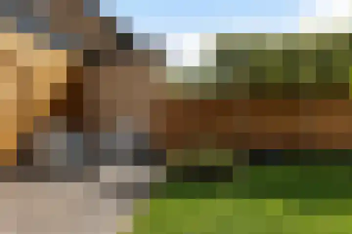 Strijkmolen 5 Zwolle thumbnail 27