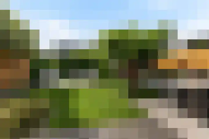 Strijkmolen 5 Zwolle thumbnail 28