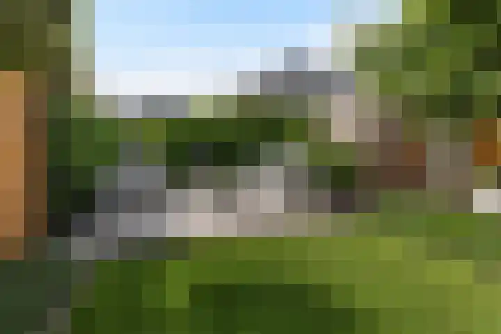 Strijkmolen 5 Zwolle thumbnail 29