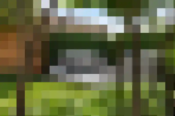 Strijkmolen 5 Zwolle thumbnail 30