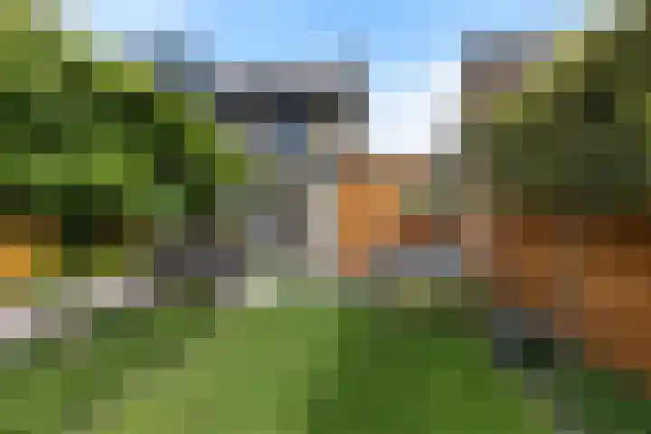 Strijkmolen 5 Zwolle thumbnail 31