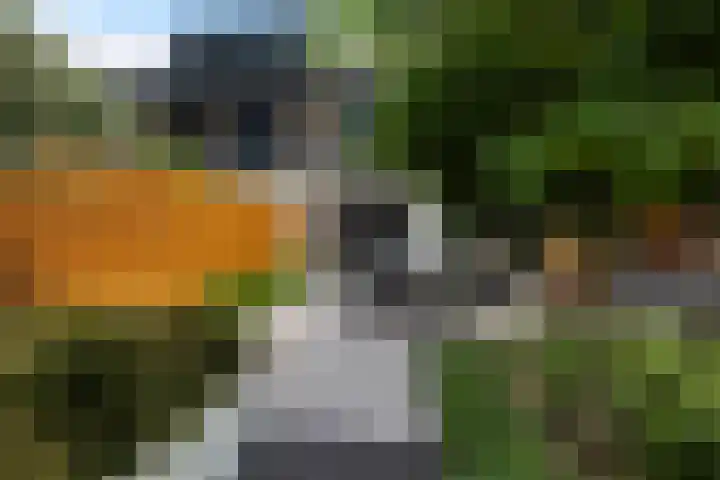 Strijkmolen 5 Zwolle thumbnail 32