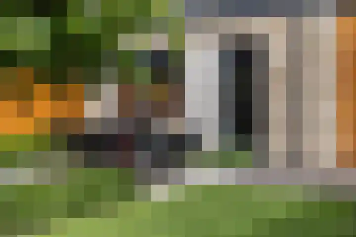 Strijkmolen 5 Zwolle thumbnail 33