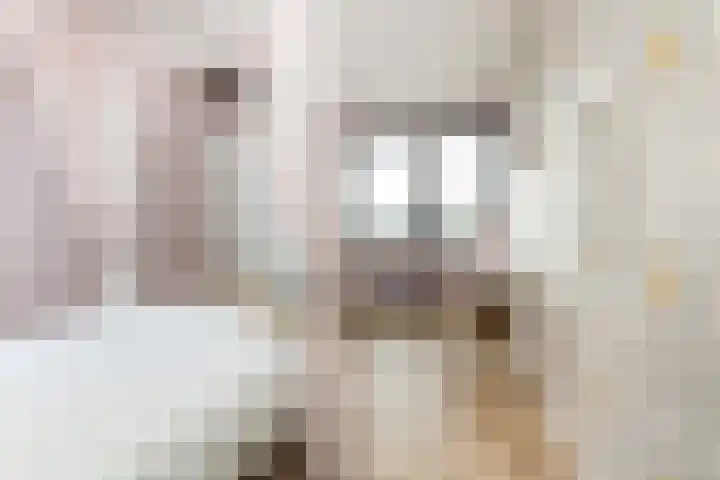 Strijkmolen 5 Zwolle thumbnail 36