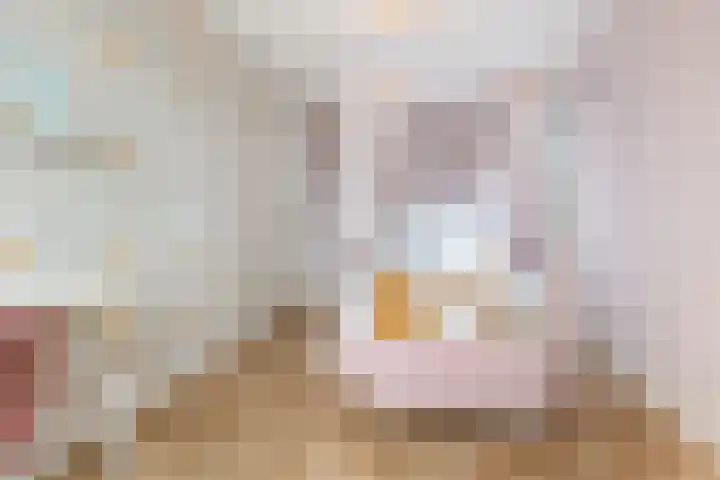 Strijkmolen 5 Zwolle thumbnail 37