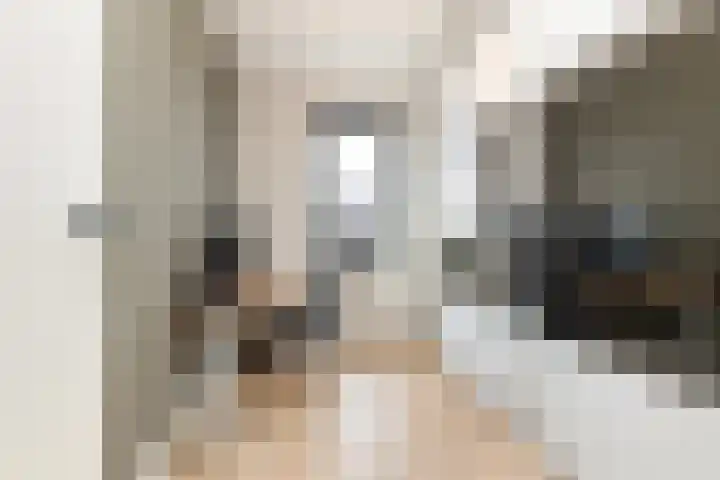Strijkmolen 5 Zwolle thumbnail 41