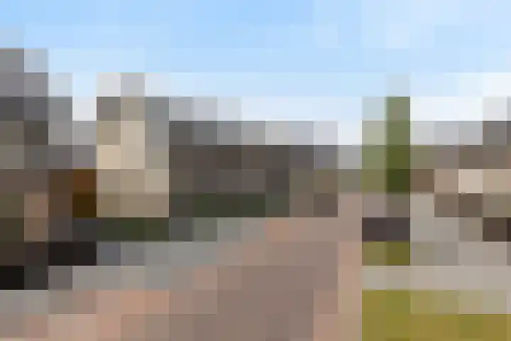 Strijkmolen 5 Zwolle thumbnail 48