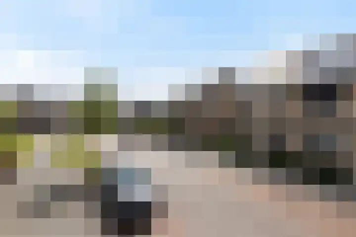 Strijkmolen 5 Zwolle thumbnail 49