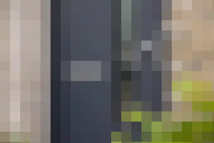 Strijkmolen 5 Zwolle thumbnail 5