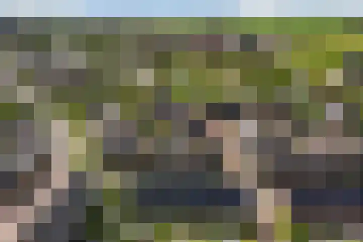 Strijkmolen 5 Zwolle thumbnail 51