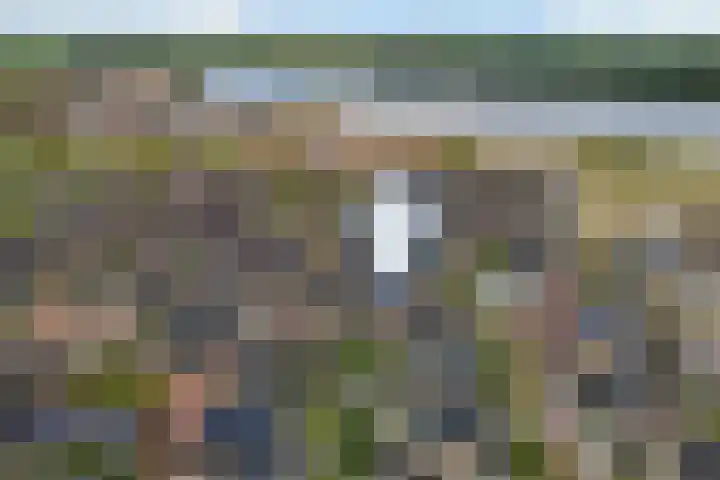 Strijkmolen 5 Zwolle thumbnail 53