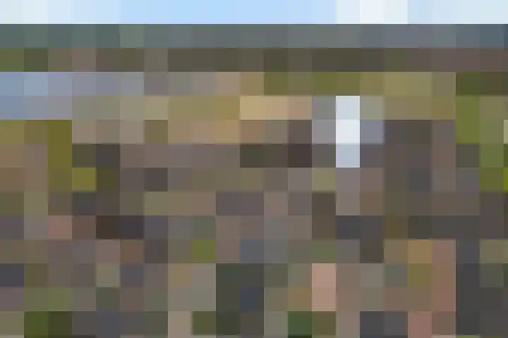 Strijkmolen 5 Zwolle thumbnail 54