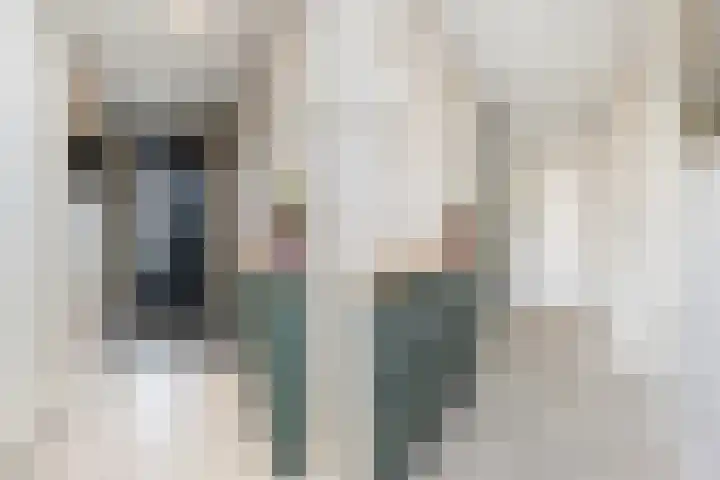 Strijkmolen 5 Zwolle thumbnail 6