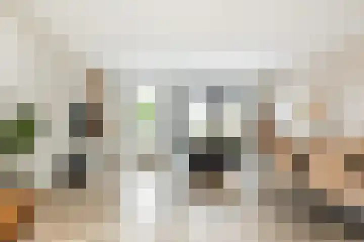 Strijkmolen 5 Zwolle thumbnail 8