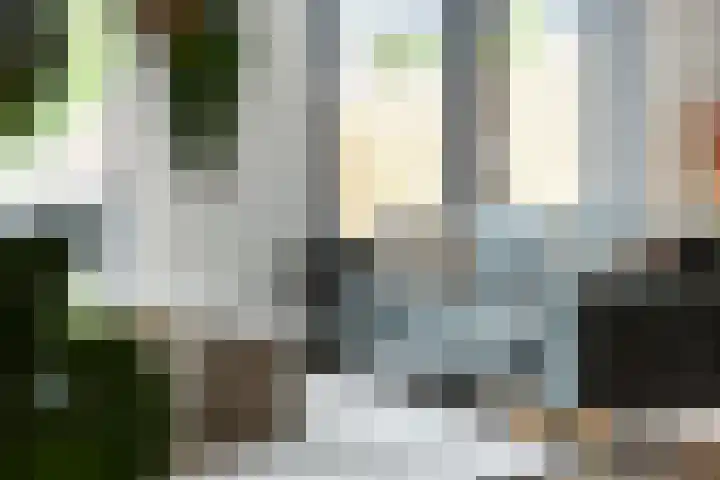 Strijkmolen 5 Zwolle thumbnail 9