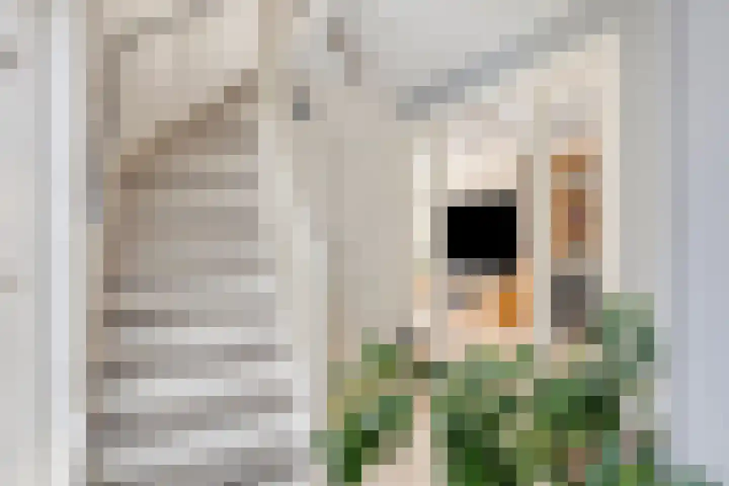 Strijkmolen 57 Nieuwe Niedorp thumbnail 13