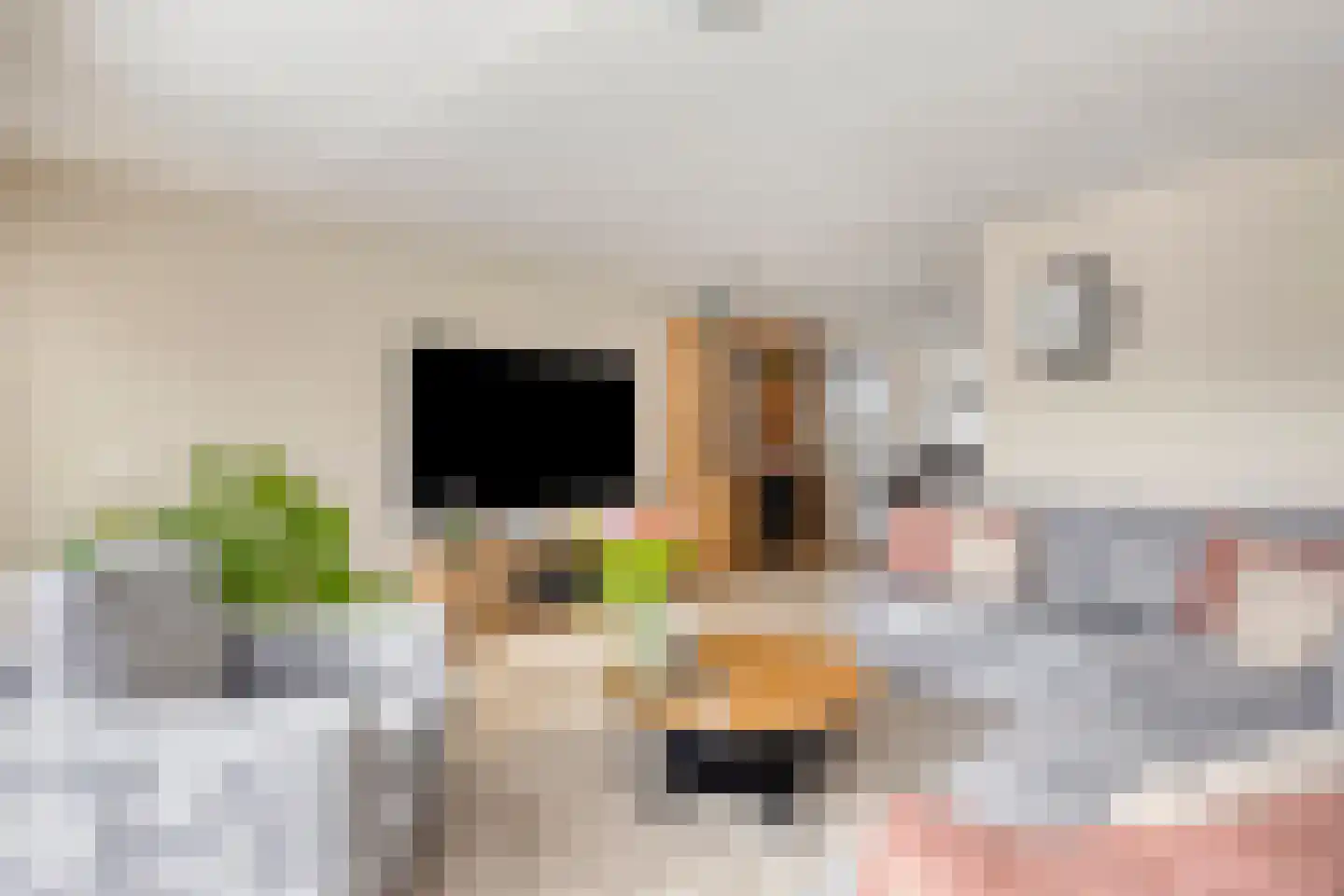 Strijkmolen 57 Nieuwe Niedorp thumbnail 17