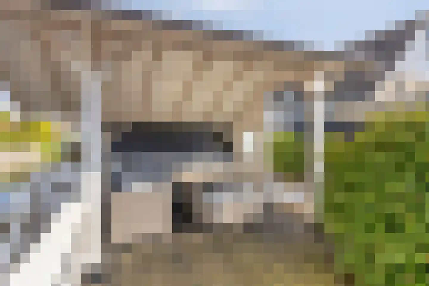 Strijkmolen 57 Nieuwe Niedorp thumbnail 45