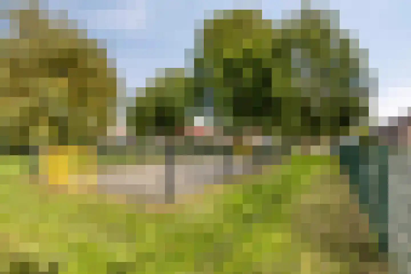 Strijkmolen 57 Nieuwe Niedorp thumbnail 52