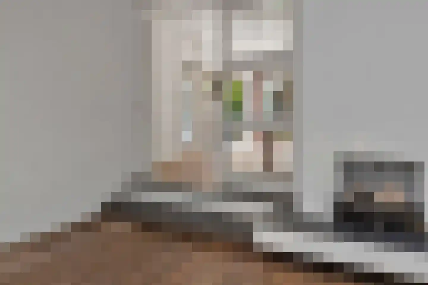 Strijkmolen 6 Schagen thumbnail 10