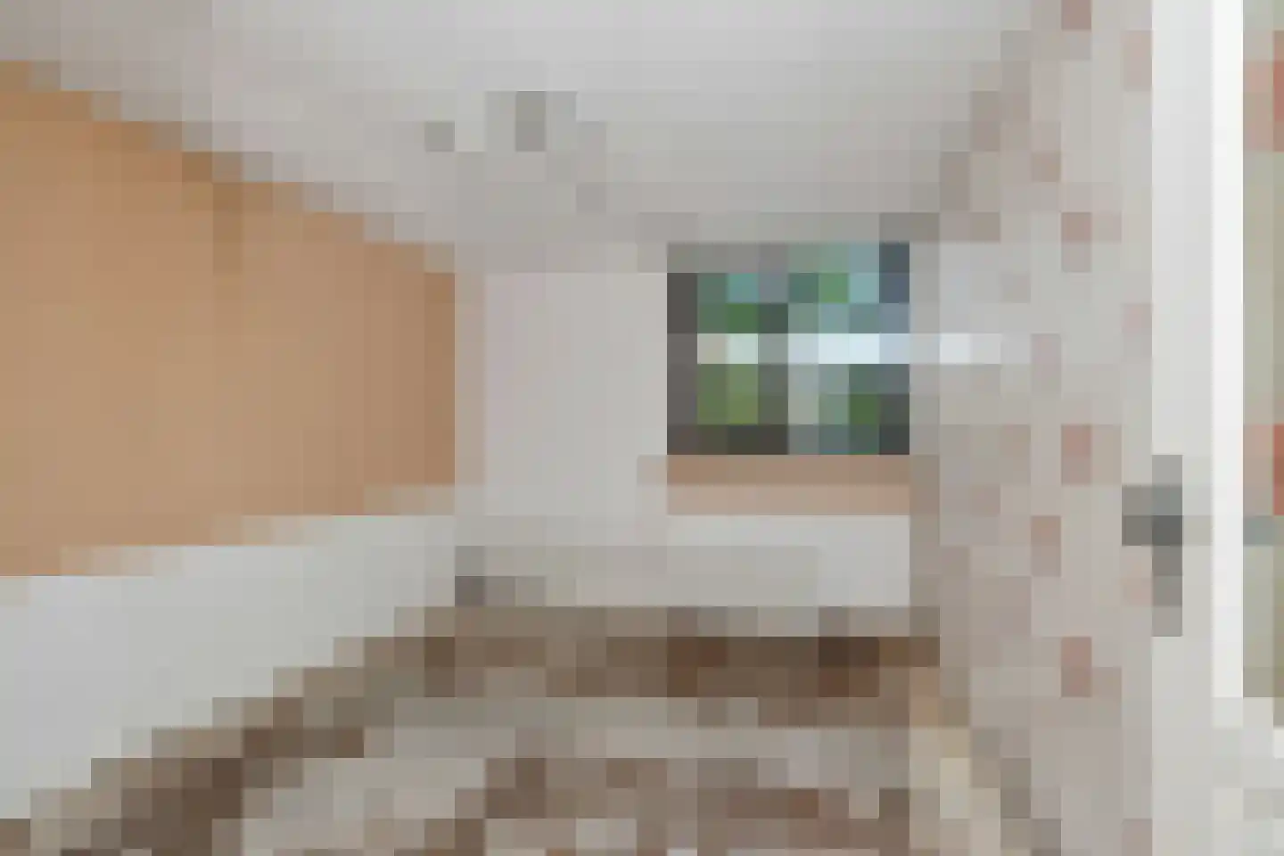 Strijkmolen 6 Schagen thumbnail 17