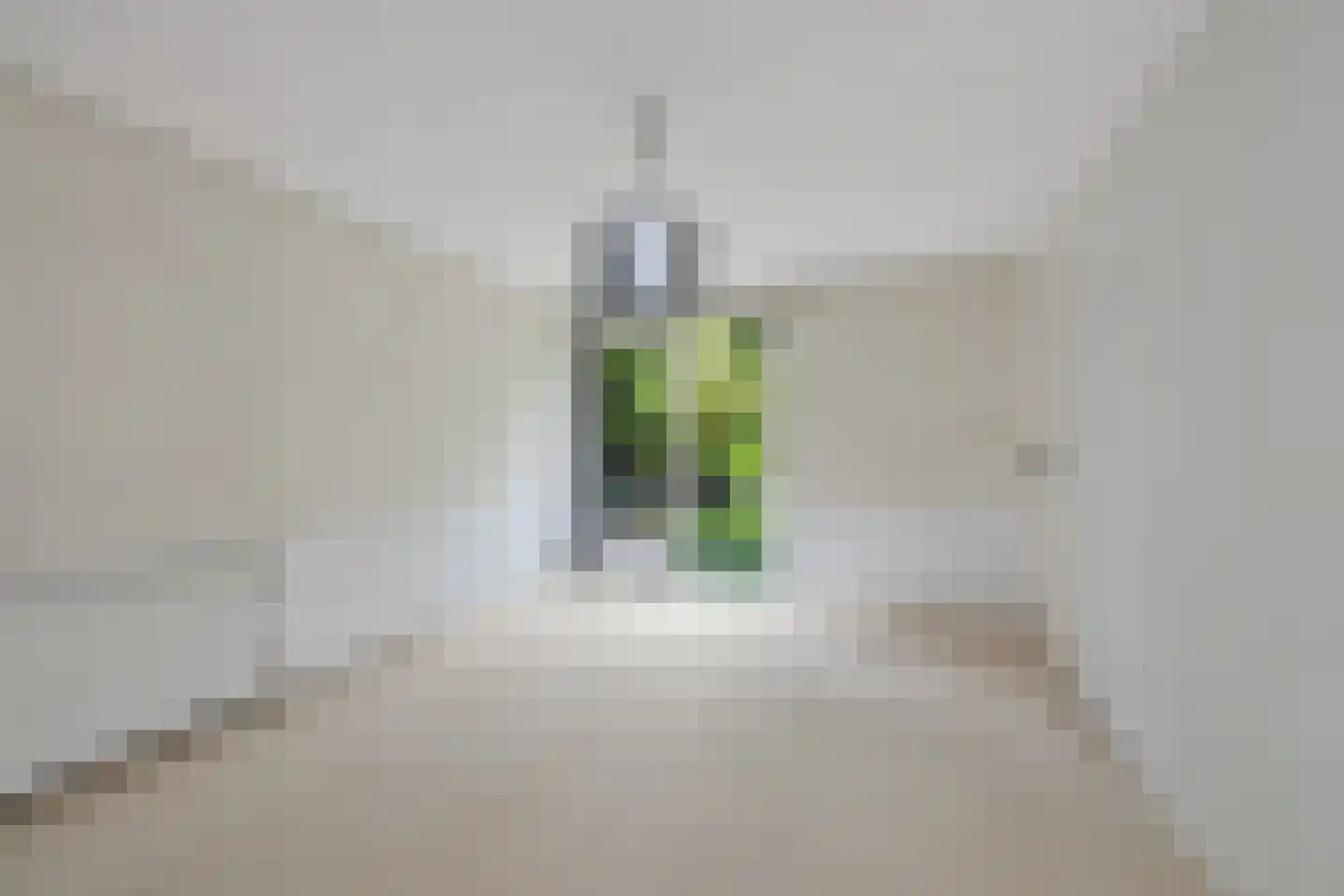Strijkmolen 6 Schagen thumbnail 22