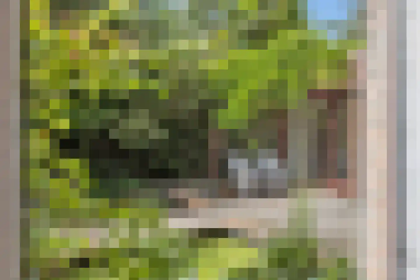 Strijkmolen 6 Schagen thumbnail 23