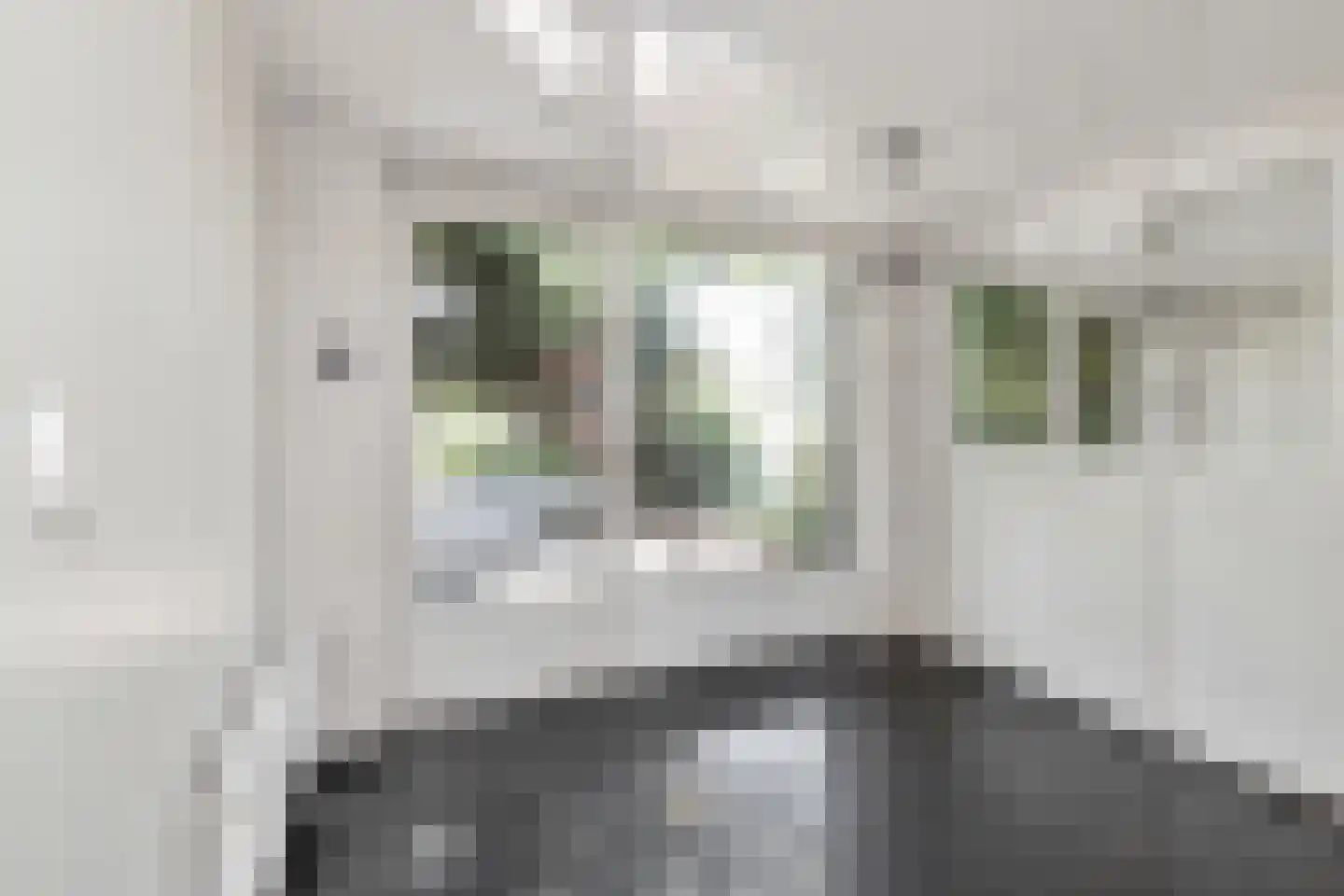 Strijkmolen 6 Schagen thumbnail 25