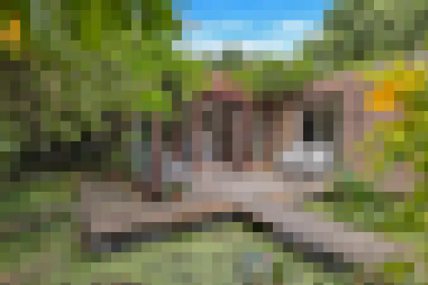 Strijkmolen 6 Schagen thumbnail 27