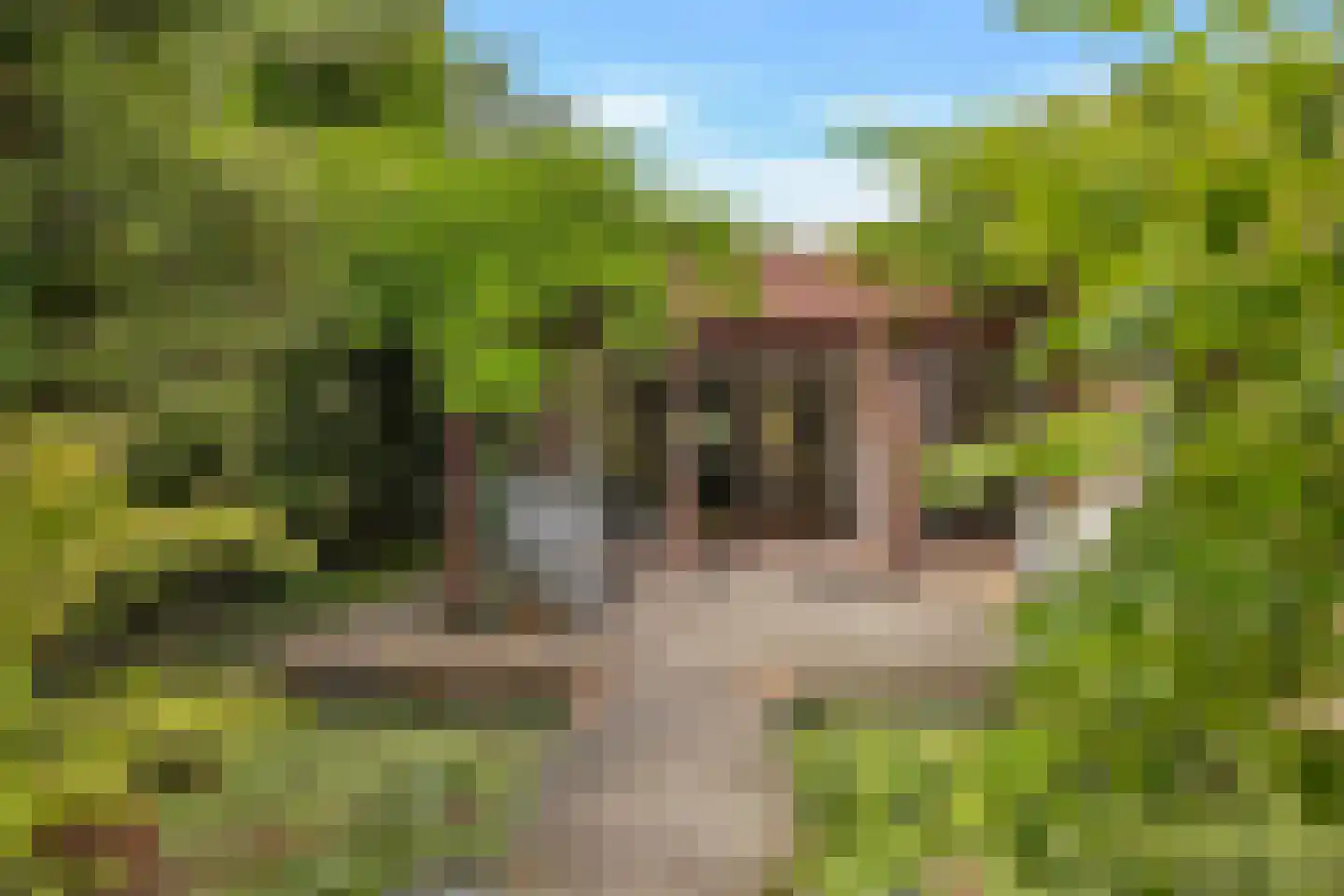 Strijkmolen 6 Schagen thumbnail 28