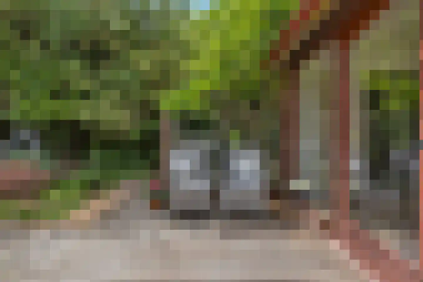 Strijkmolen 6 Schagen thumbnail 29