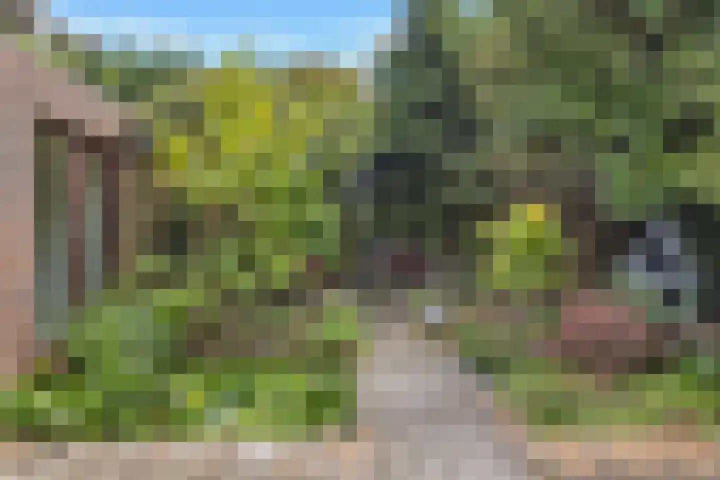 Strijkmolen 6 Schagen thumbnail 30